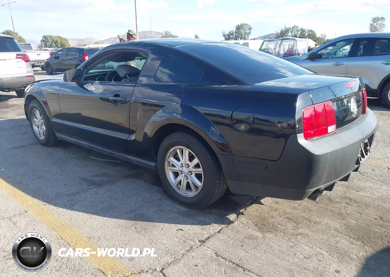2008 Ford Mustang V6 Deluxe-V6 Premium VIN:1ZVHT80N785152874 - 3