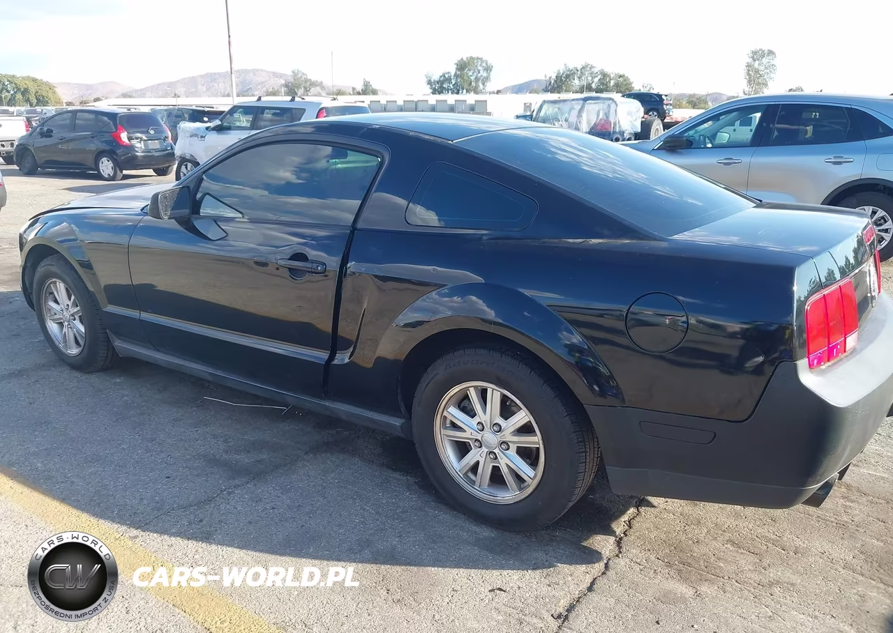 2008 Ford Mustang V6 Deluxe-V6 Premium VIN:1ZVHT80N785152874 - 6