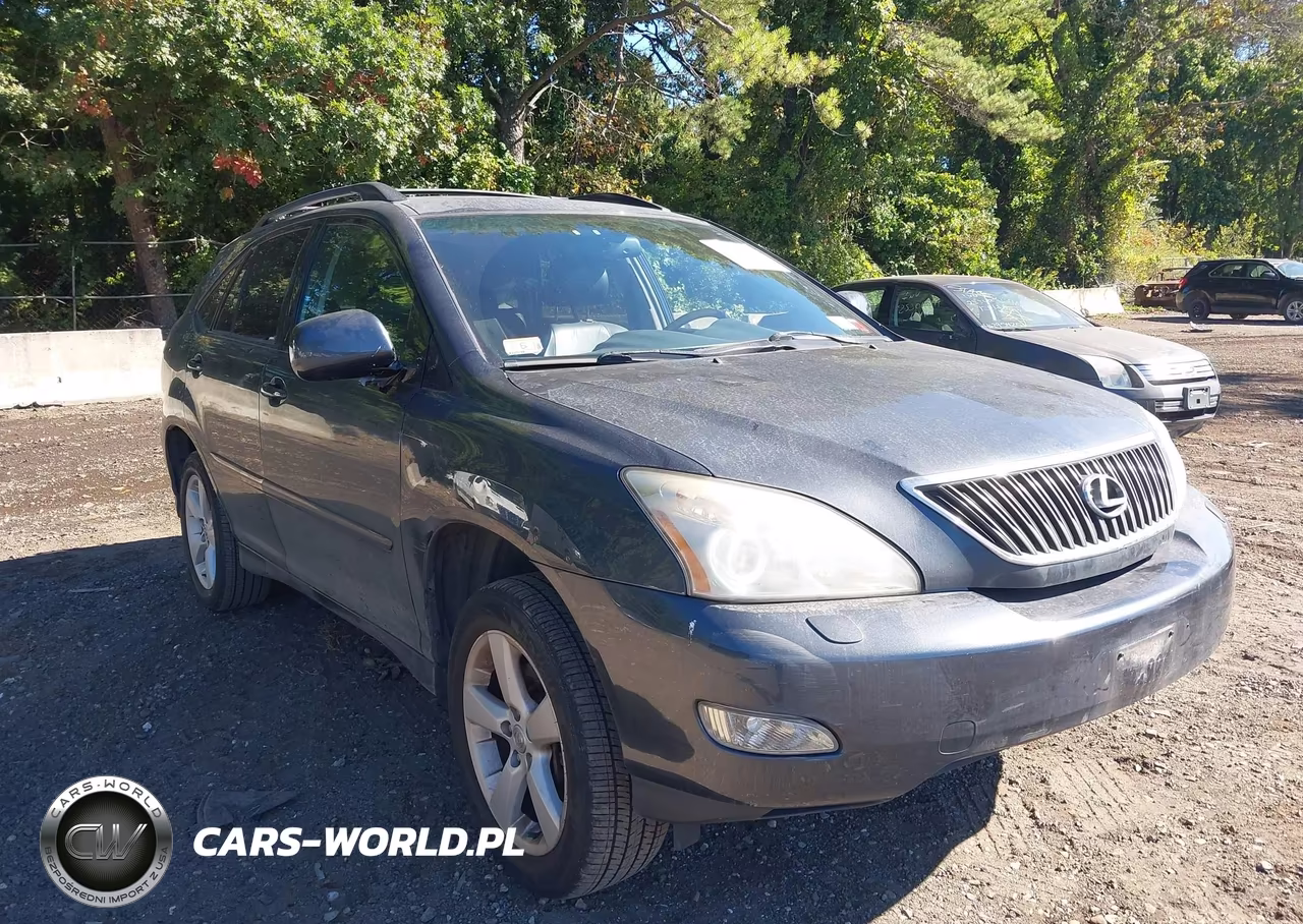2004 Lexus Rx 330 VIN:2T2HA31U04C013129 - 1