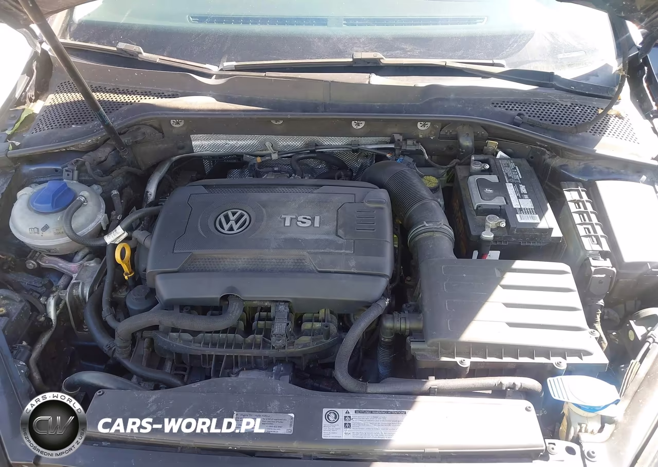 2016 Volkswagen Golf Sportwagen Tsi S 4-Door VIN:3VWC17AU6GM506389 - 10
