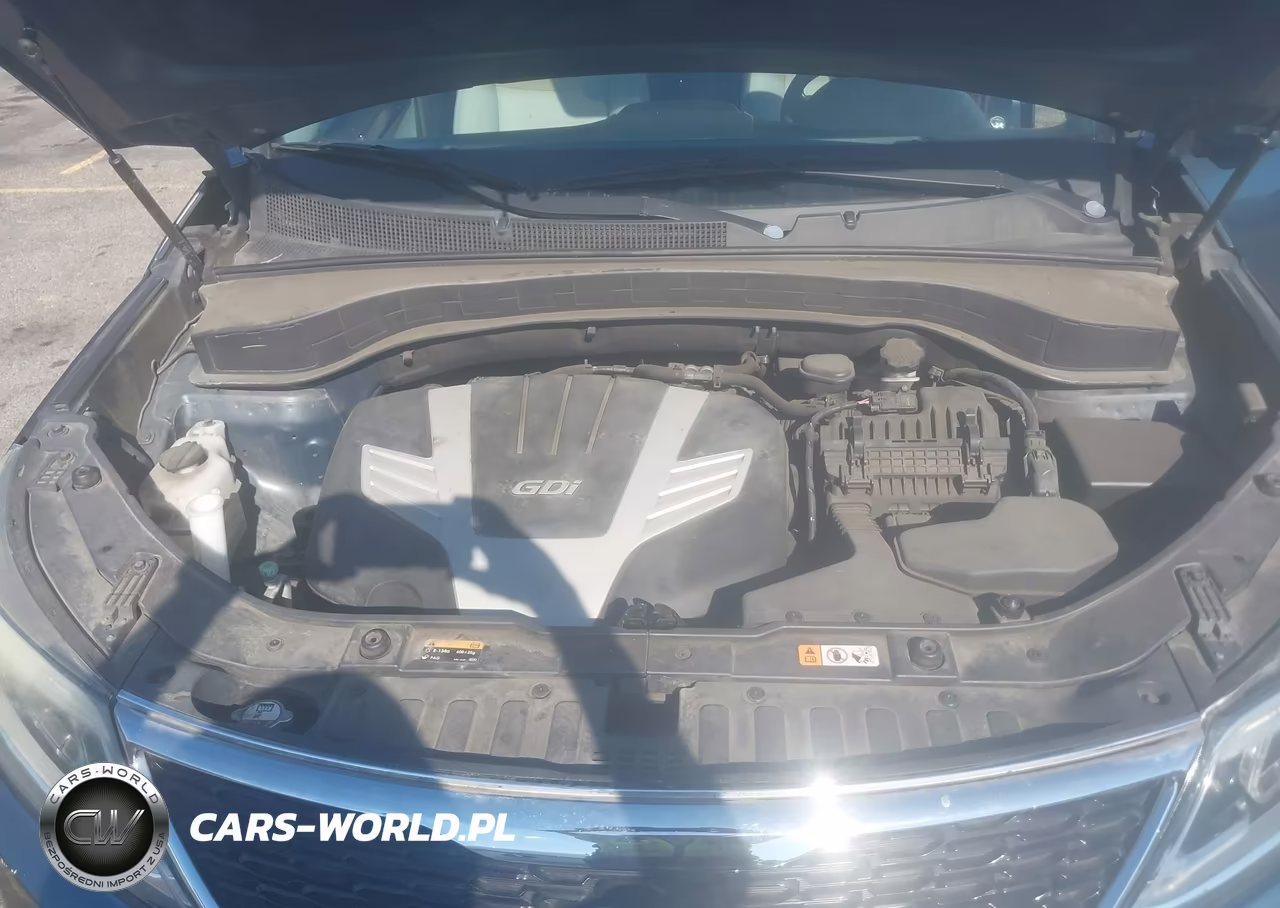2014 Kia Sorento Lx V6 VIN:5XYKT4A72EG474701 - 10