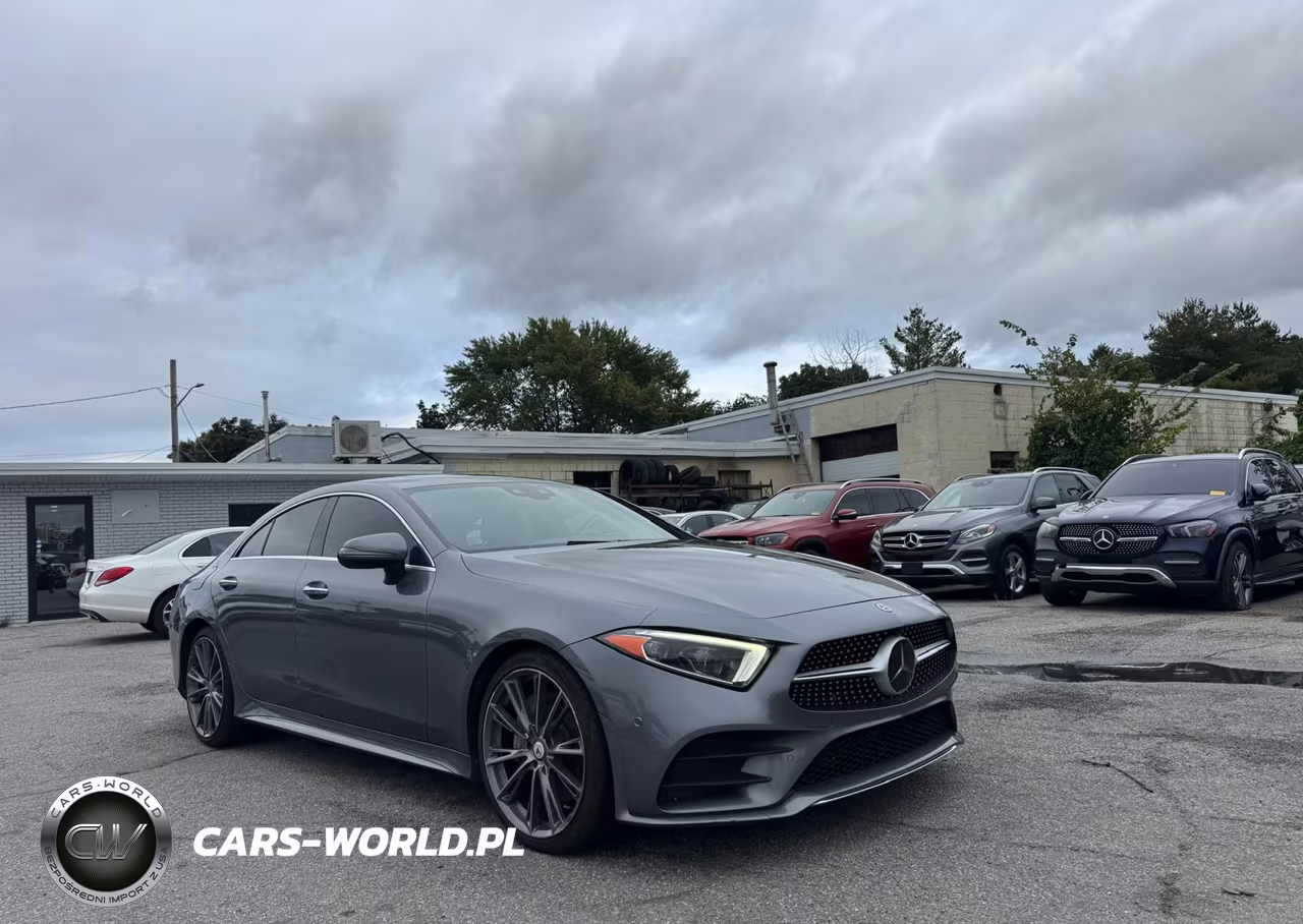 2019 Mercedes-Benz Cls 450 4Matic VIN:WDD2J5KB5KA028896 - 1