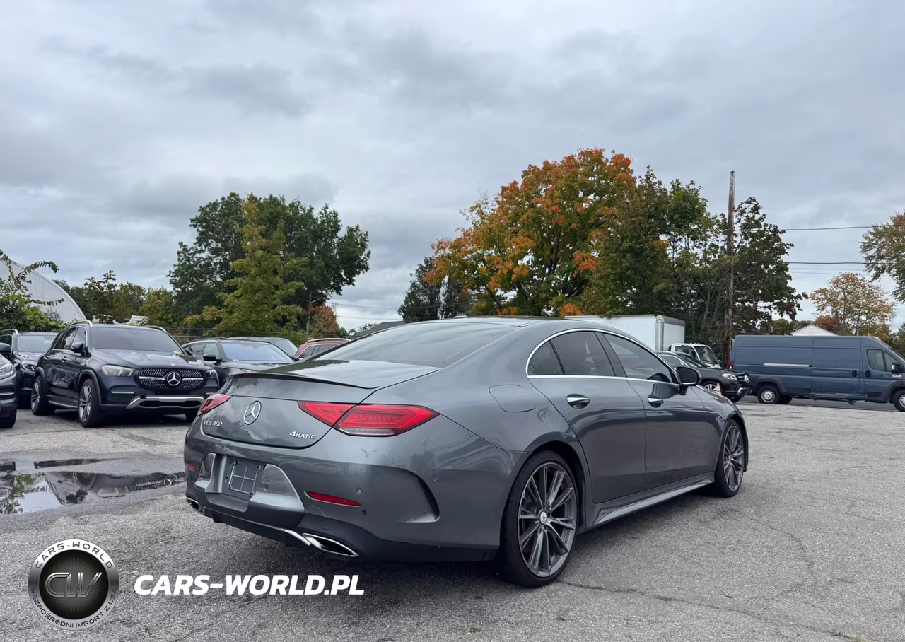 2019 Mercedes-Benz Cls 450 4Matic VIN:WDD2J5KB5KA028896 - 4