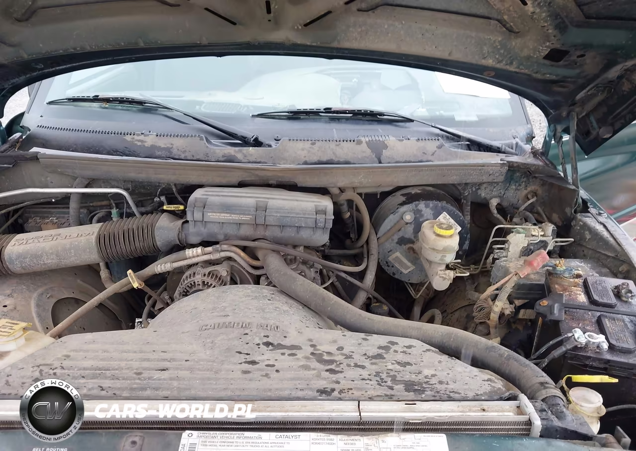1999 Dodge Ram 1500 St-Ws VIN:1B7HC16XXXS320252 - 10
