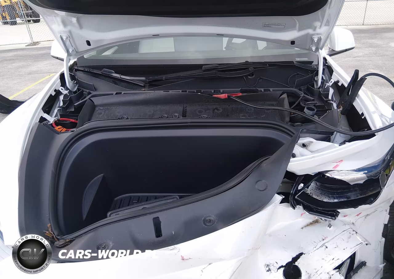 2023 Tesla Model Y Awd-Long Range Dual Motor All-Wheel Drive VIN:7SAYGDEE0PA161437 - 10