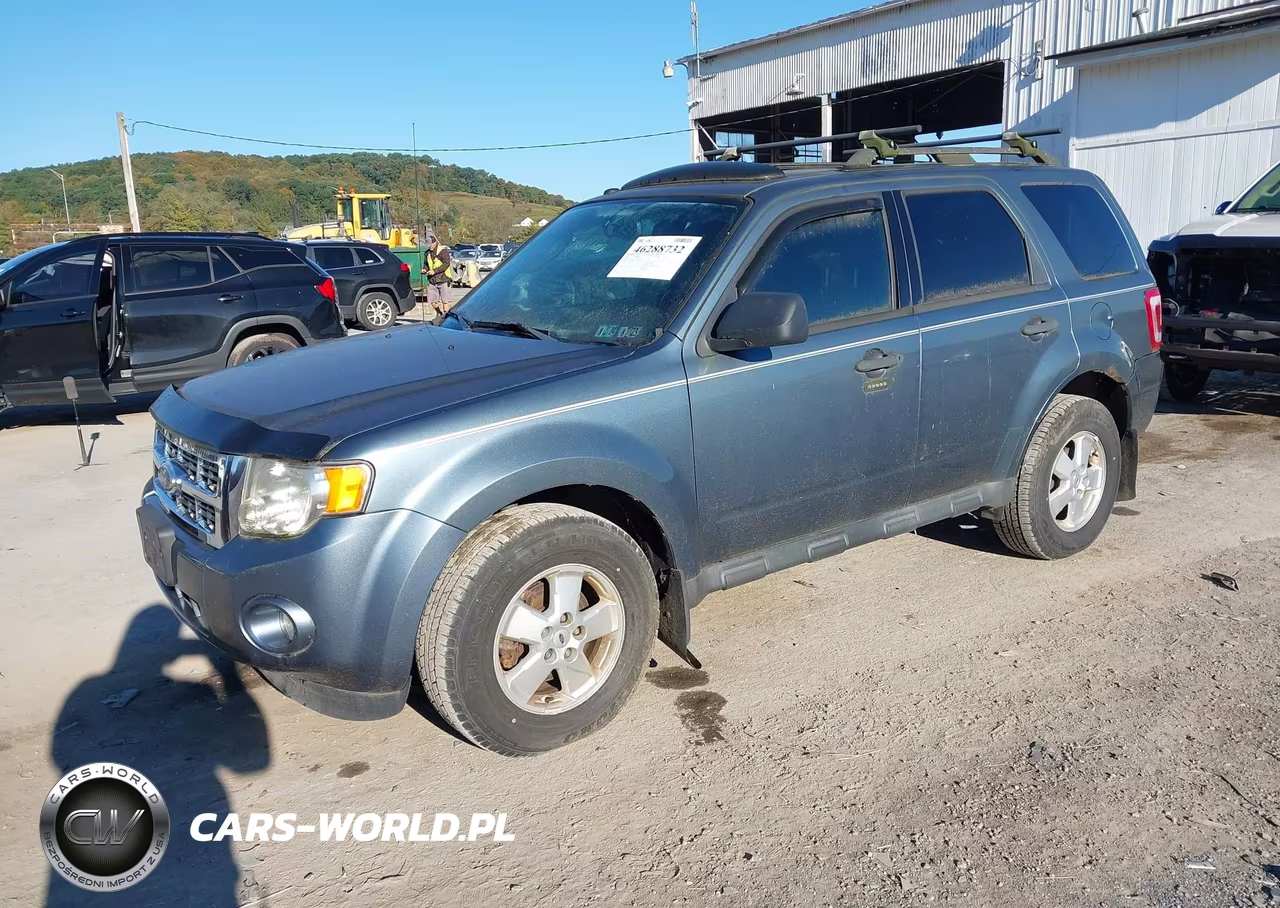 2011 Ford Escape Xlt VIN:1FMCU9DG2BKA42766 - 2