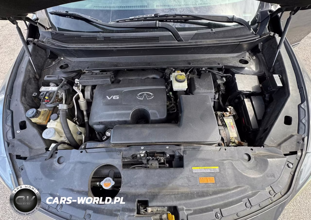 2019 Infiniti Qx60 Pure VIN:5N1DL0MN8KC509667 - 10