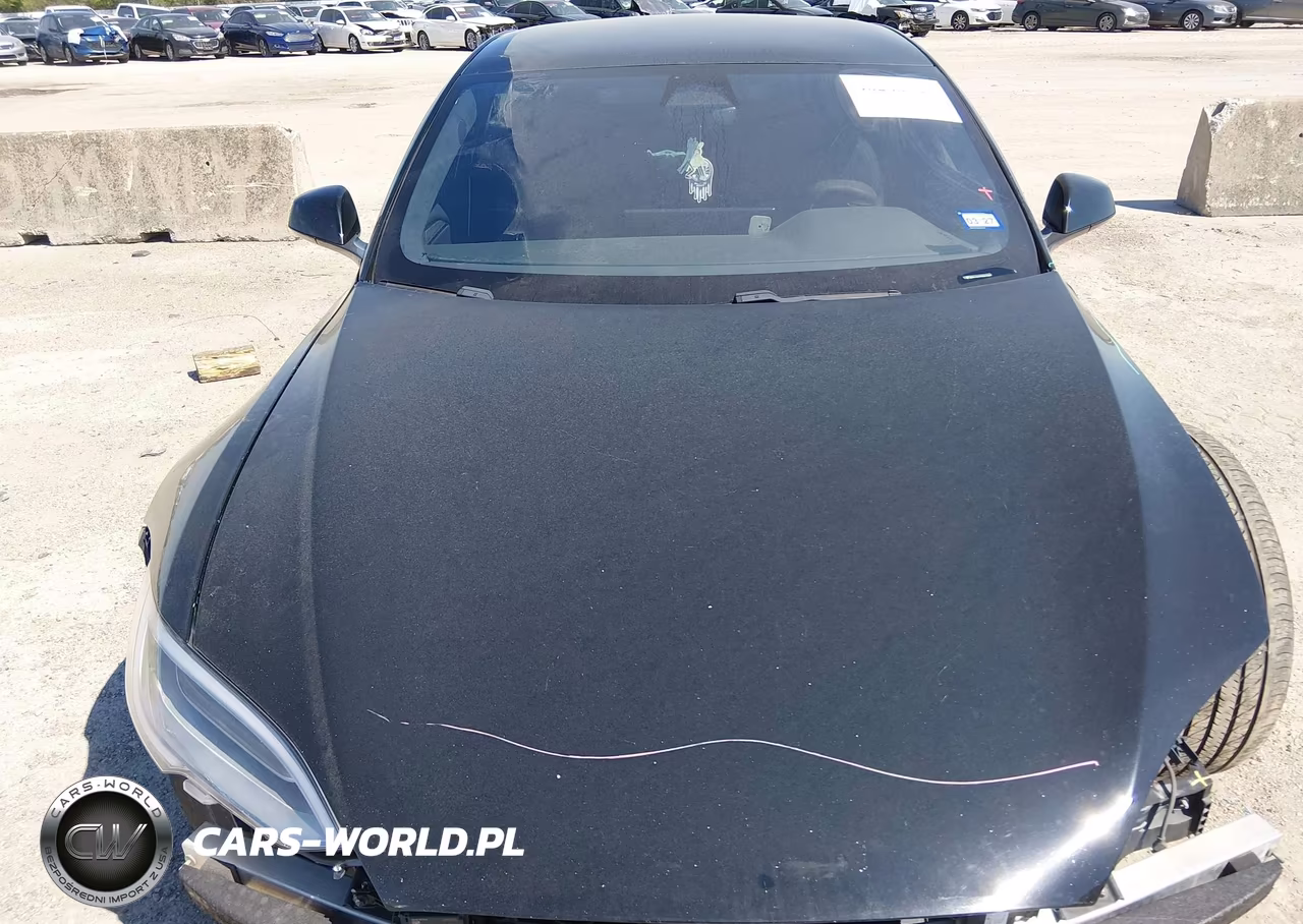 2021 Tesla Model S Long Range Dual Motor All-Wheel Drive VIN:5YJSA1E53MF428412 - 10