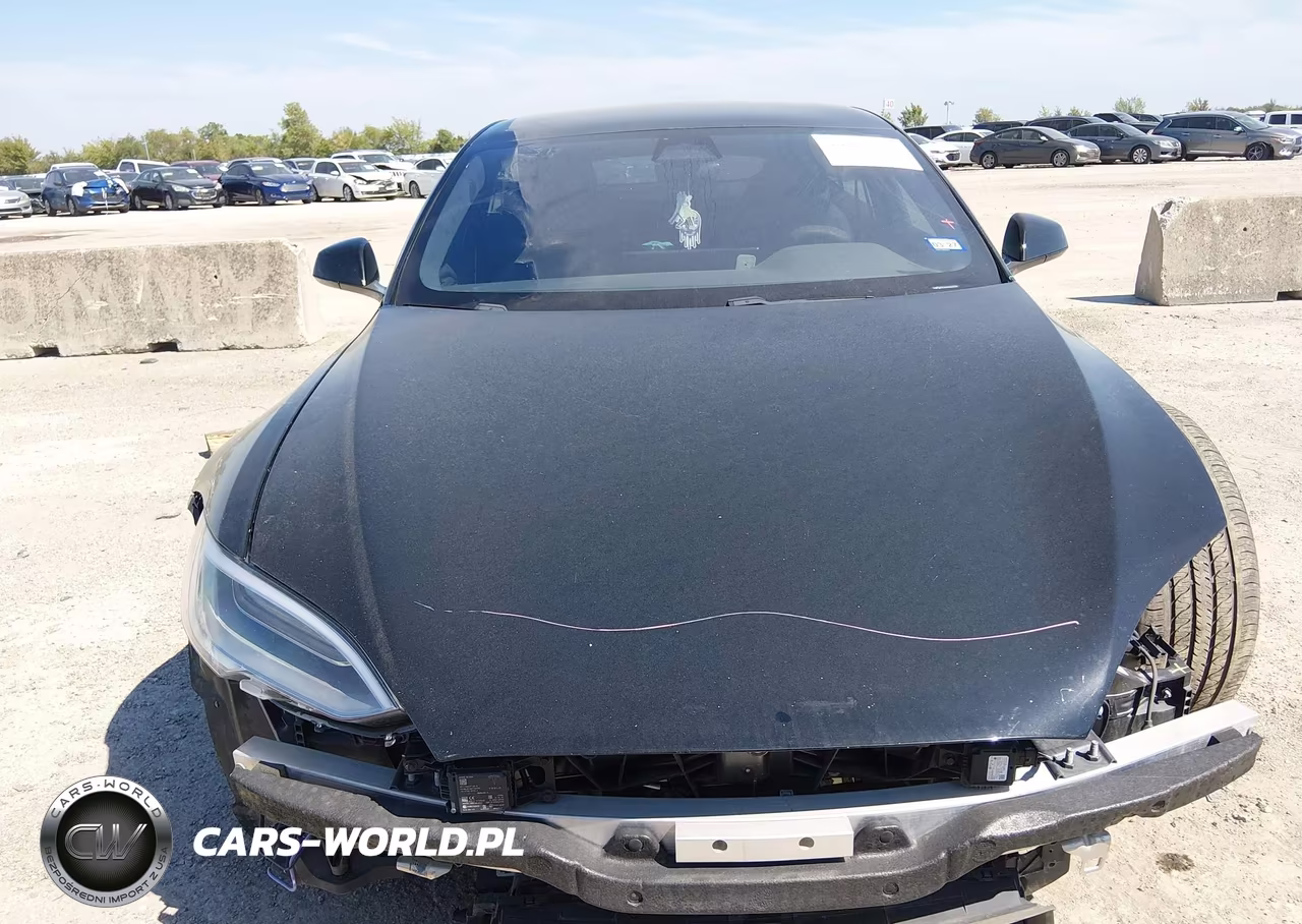2021 Tesla Model S Long Range Dual Motor All-Wheel Drive VIN:5YJSA1E53MF428412 - 11