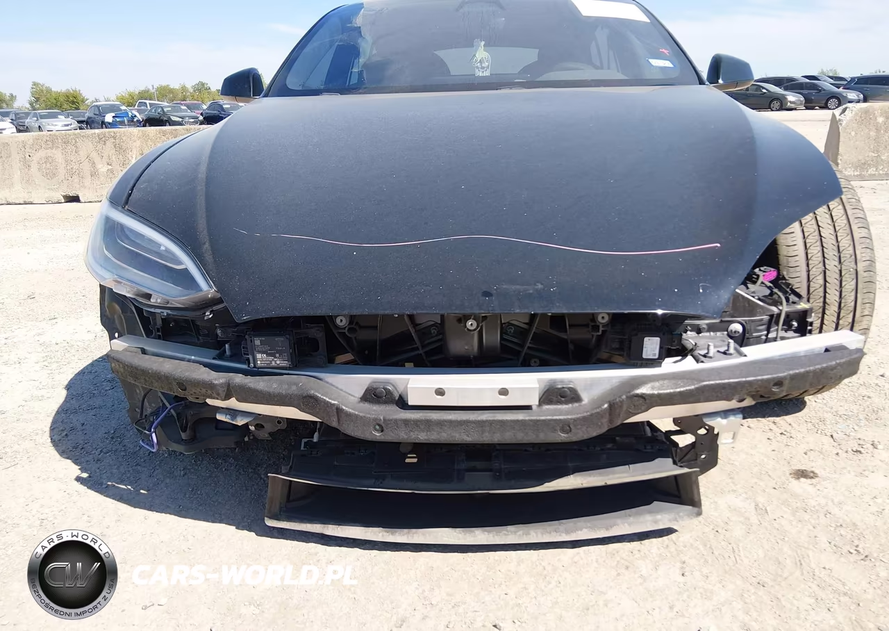 2021 Tesla Model S Long Range Dual Motor All-Wheel Drive VIN:5YJSA1E53MF428412 - 19