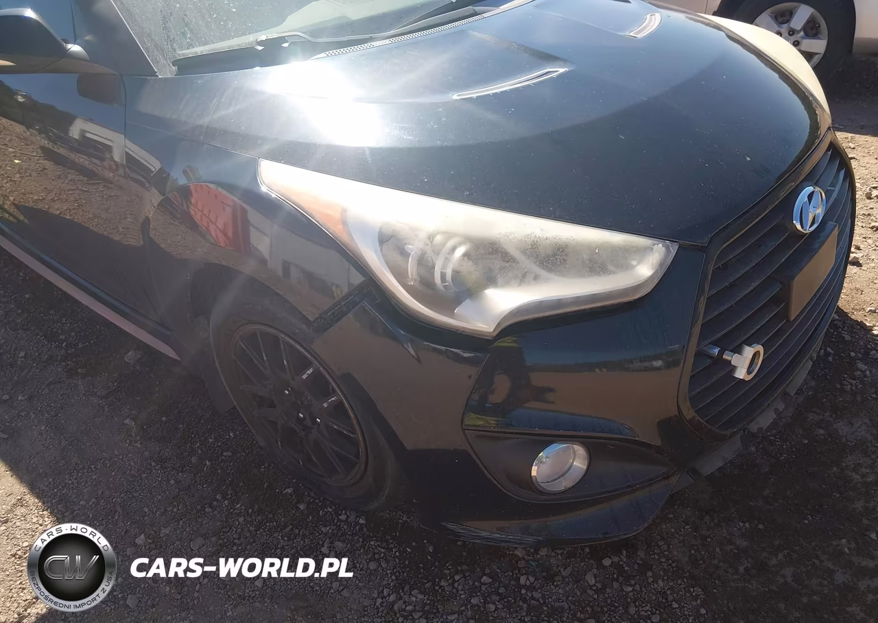 2013 Hyundai Veloster Turbo W-Black VIN:KMHTC6AE6DU177549 - 12