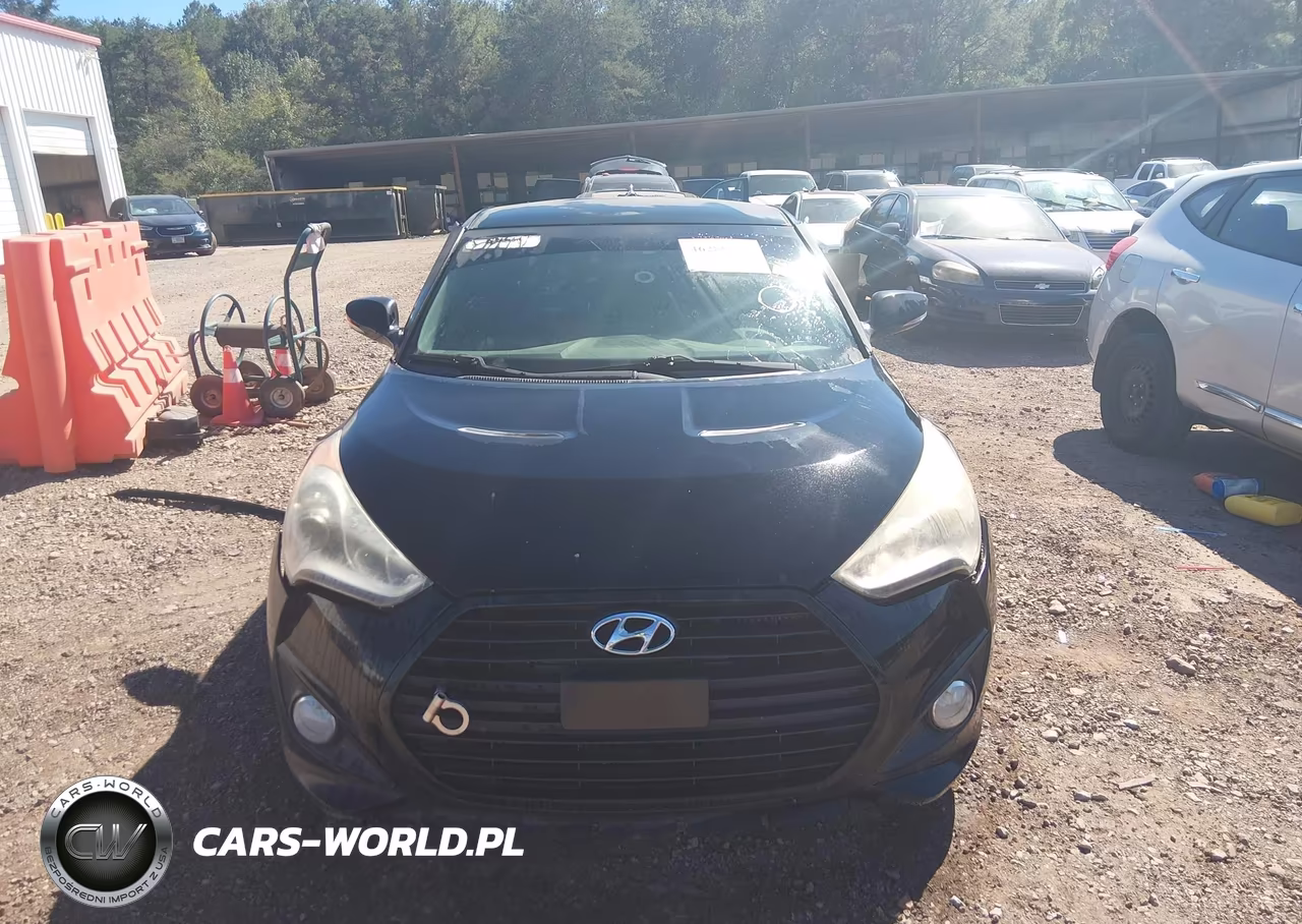 2013 Hyundai Veloster Turbo W-Black VIN:KMHTC6AE6DU177549 - 13
