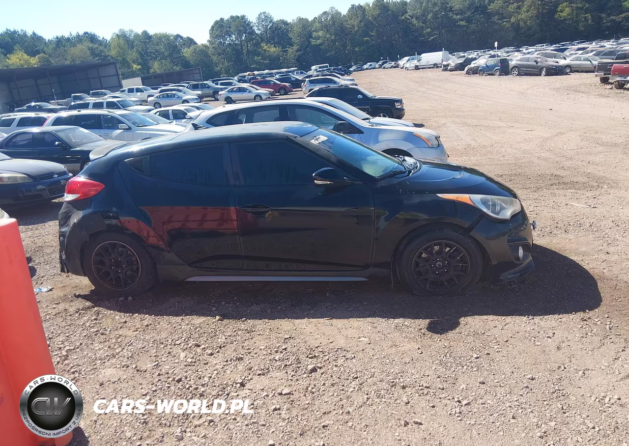 2013 Hyundai Veloster Turbo W-Black VIN:KMHTC6AE6DU177549 - 14