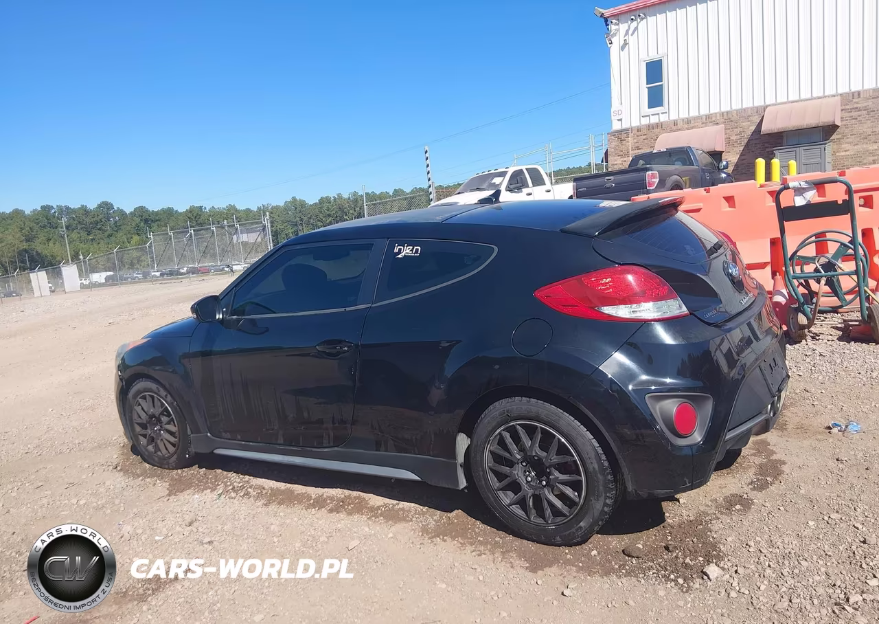 2013 Hyundai Veloster Turbo W-Black VIN:KMHTC6AE6DU177549 - 15