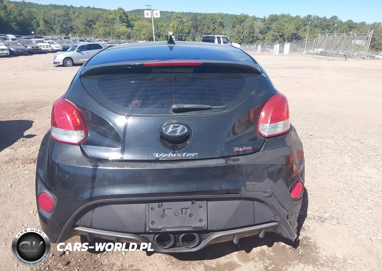 2013 Hyundai Veloster Turbo W-Black VIN:KMHTC6AE6DU177549 - 17