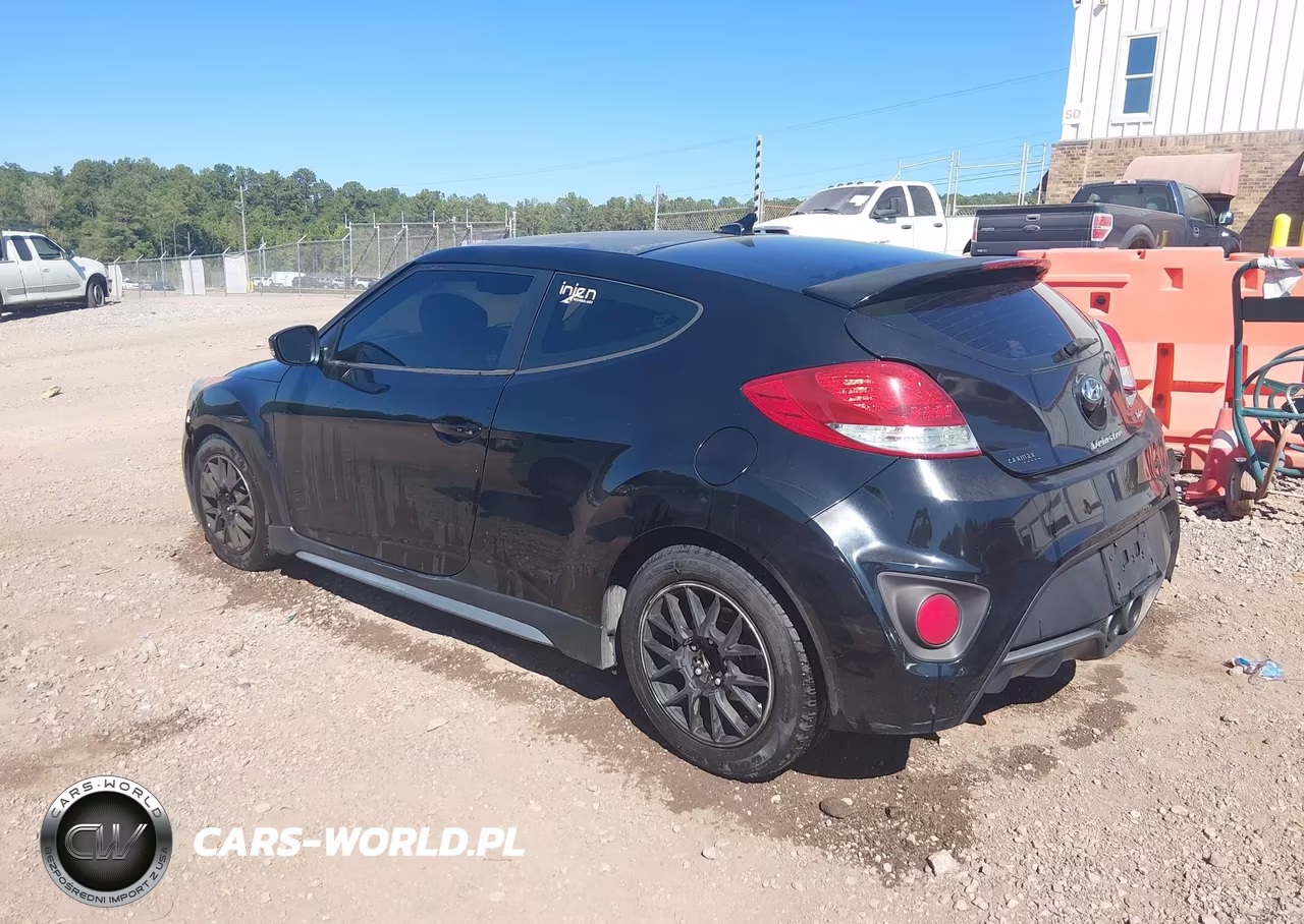 2013 Hyundai Veloster Turbo W-Black VIN:KMHTC6AE6DU177549 - 3