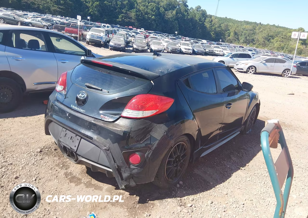 2013 Hyundai Veloster Turbo W-Black VIN:KMHTC6AE6DU177549 - 4