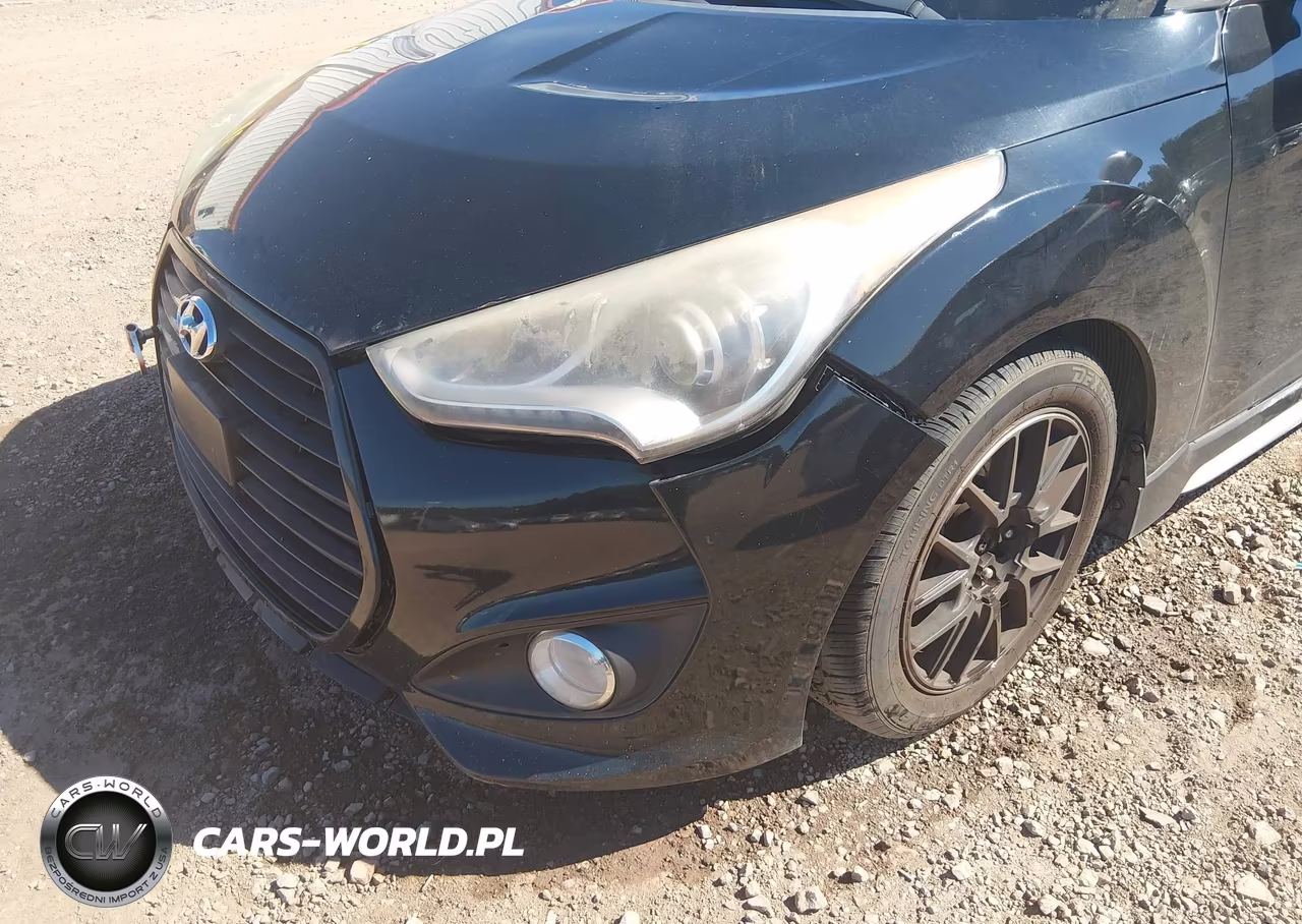 2013 Hyundai Veloster Turbo W-Black VIN:KMHTC6AE6DU177549 - 6