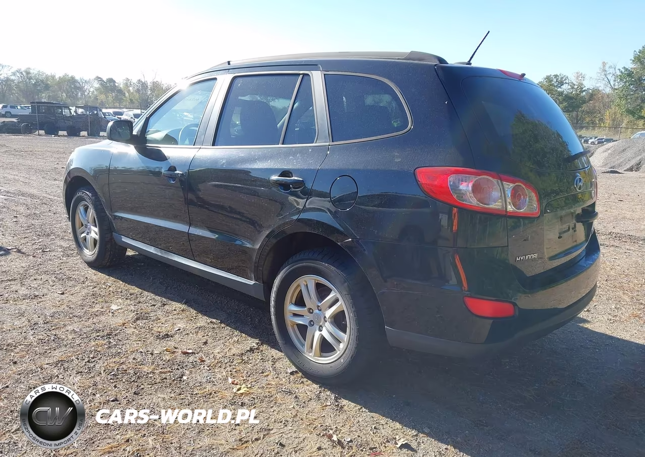 2010 Hyundai Santa Fe Gls VIN:5NMSG3AB5AH349808 - 3