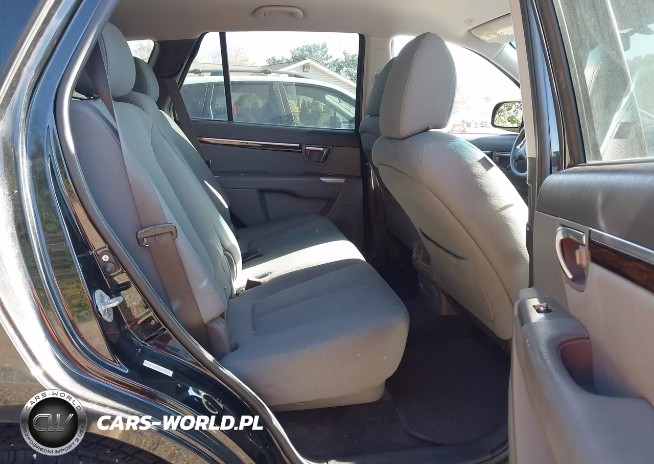 2010 Hyundai Santa Fe Gls VIN:5NMSG3AB5AH349808 - 8