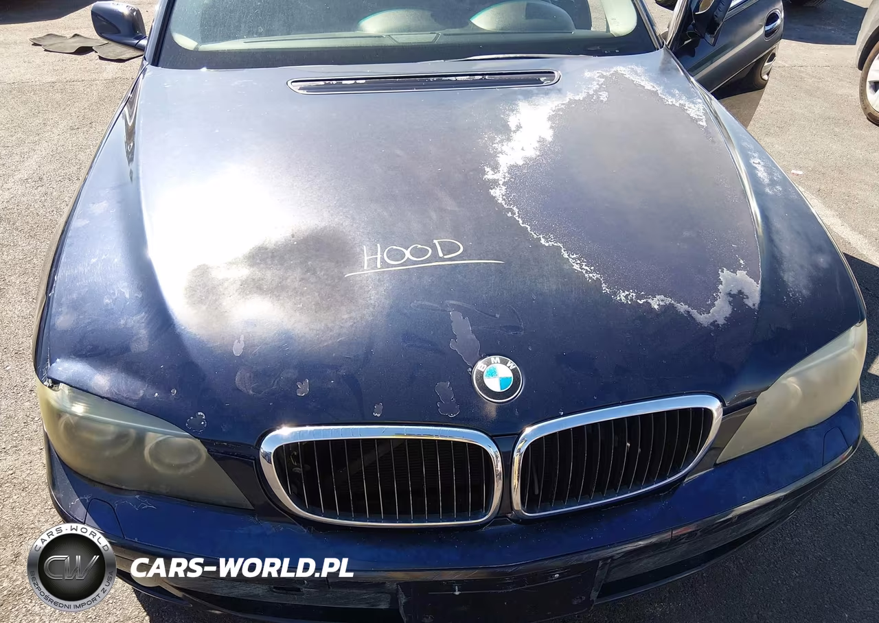2008 BMW 750I VIN:WBAHL83528DT13679 - 10