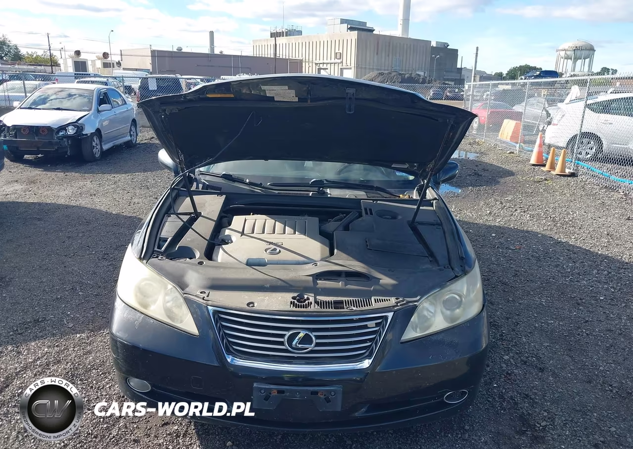 2009 Lexus Es 350 VIN:JTHBJ46G692283490 - 10