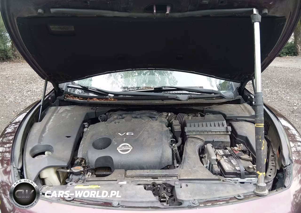 2014 Nissan Maxima 3.5 Sv VIN:1N4AA5AP7EC498106 - 10