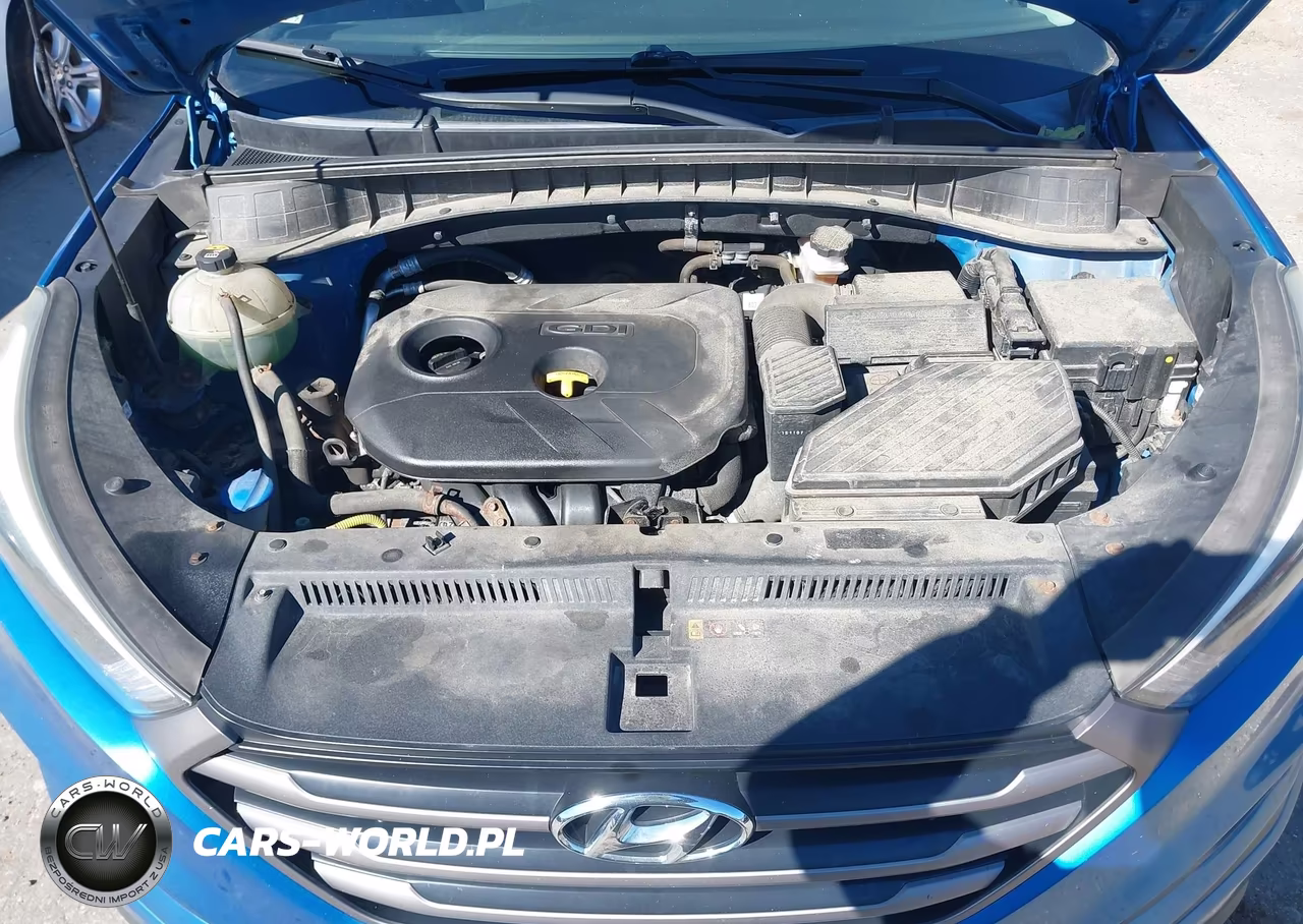 2016 Hyundai Tucson Se VIN:KM8J3CA45GU123452 - 10