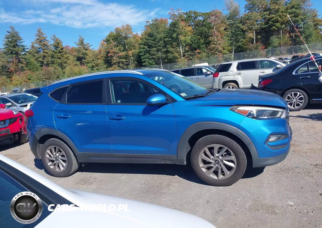 2016 Hyundai Tucson Se VIN:KM8J3CA45GU123452 - 13