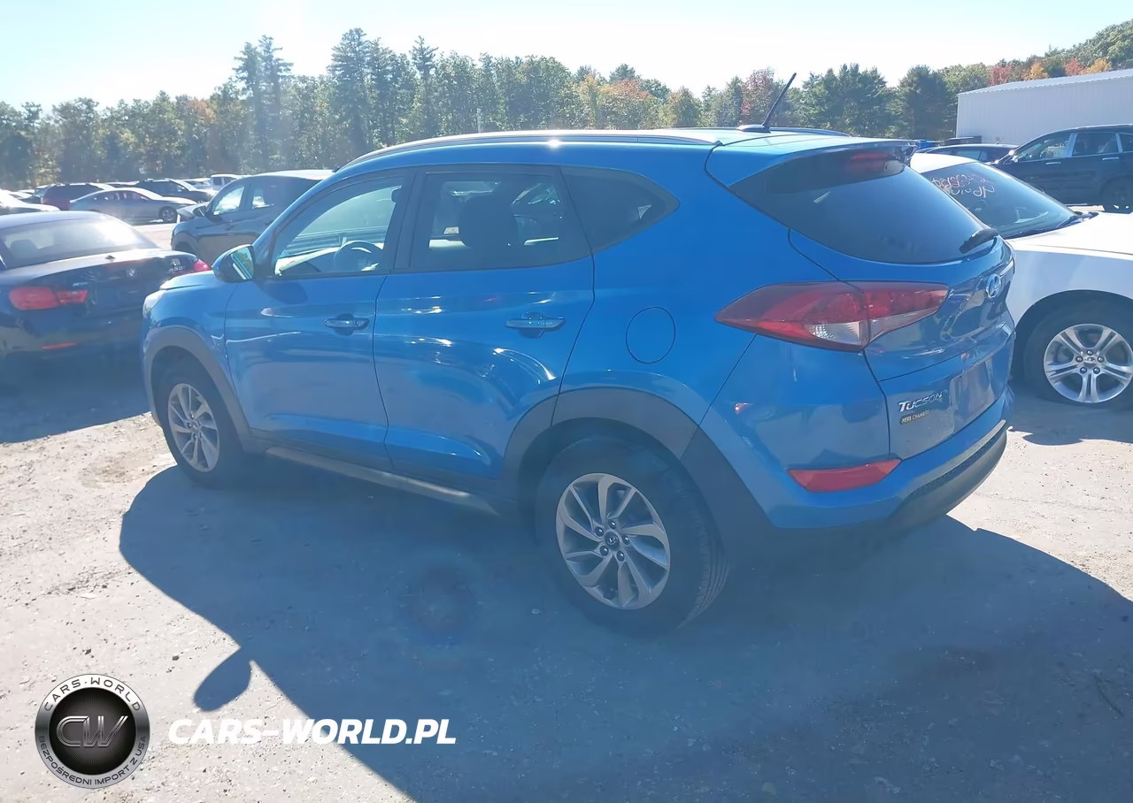 2016 Hyundai Tucson Se VIN:KM8J3CA45GU123452 - 3