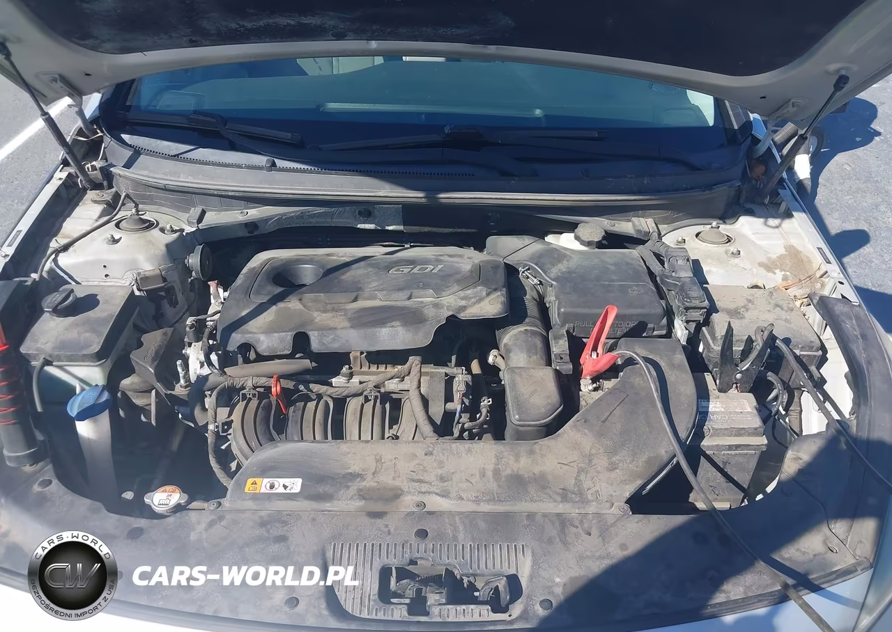 2016 Hyundai Sonata Se VIN:5NPE24AF3GH408046 - 10