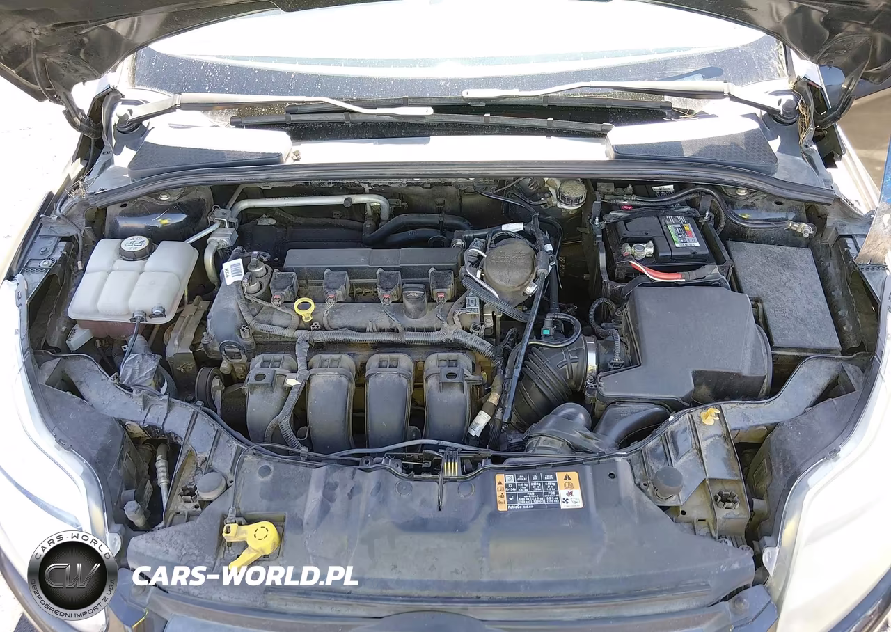 2014 Ford Focus Se VIN:1FADP3F22EL413962 - 10