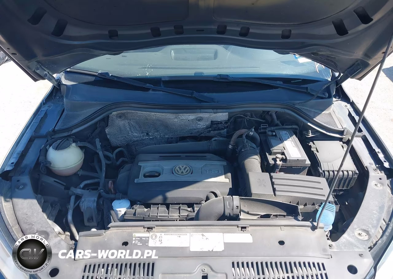 2013 Volkswagen Tiguan Se VIN:WVGAV7AX2DW545917 - 10