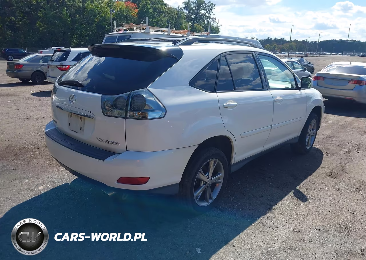 2006 Lexus Rx 400H VIN:JTJHW31U360004344 - 4