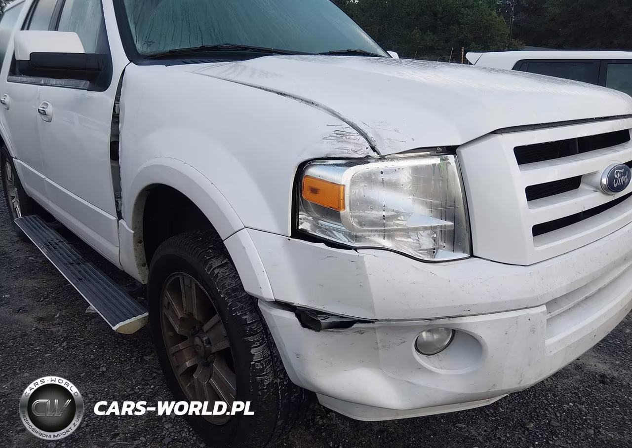 2010 Ford Expedition Limited VIN:1FMJU1K56AEB57507 - 6