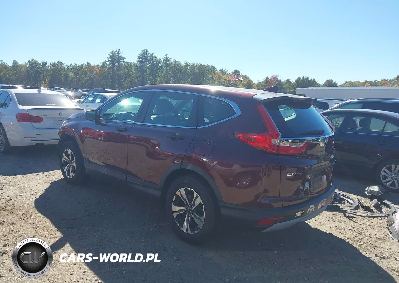 2017 Honda Cr-V Lx VIN:5J6RW6H34HL003267 - 3