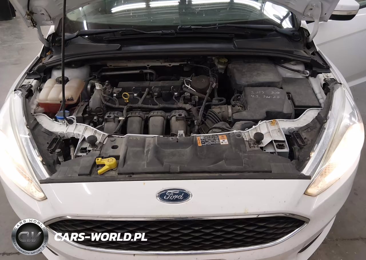 2015 Ford Focus Se VIN:1FADP3F23FL364577 - 10