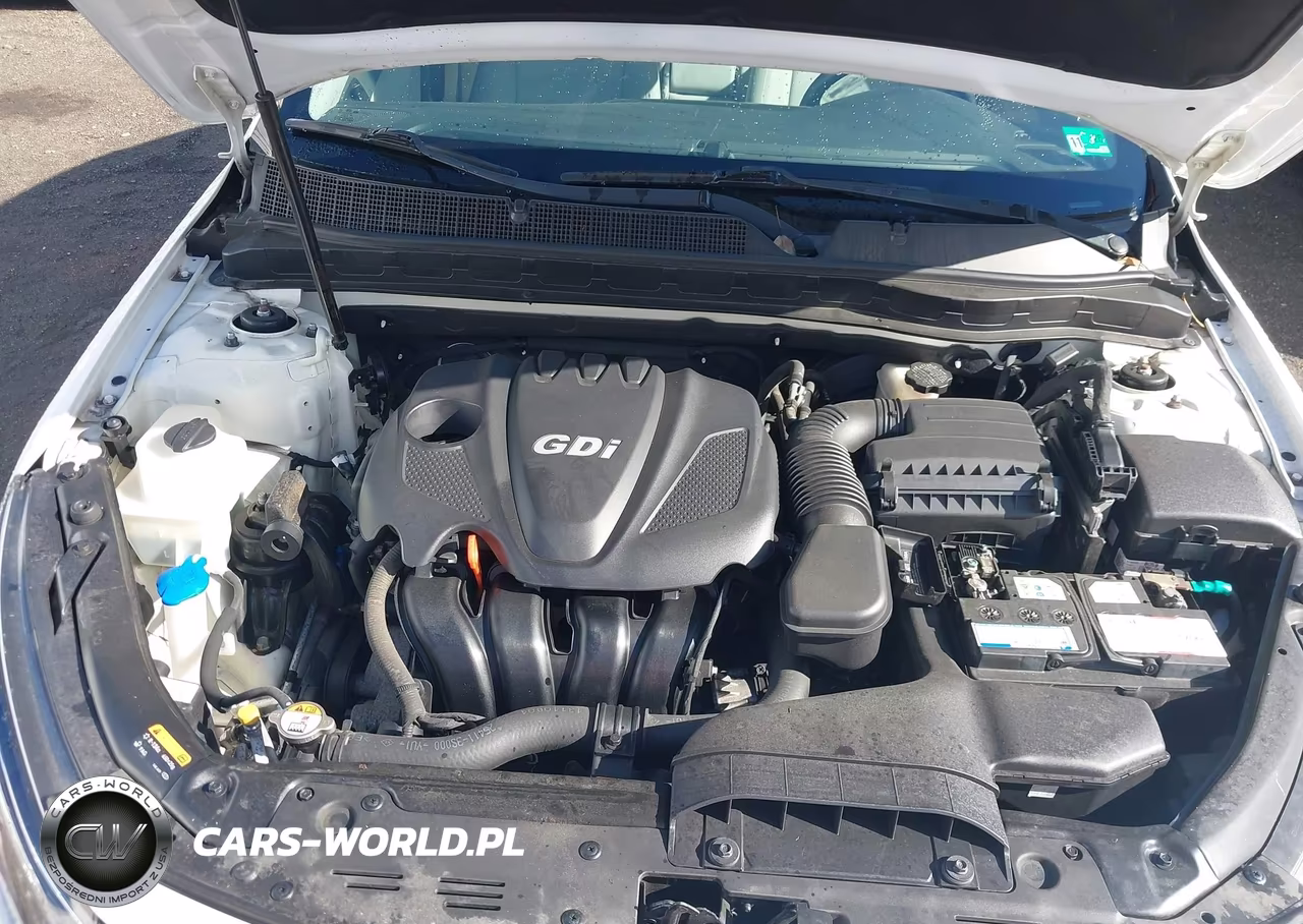 2014 Kia Optima Lx VIN:KNAGM4A72E5472360 - 10