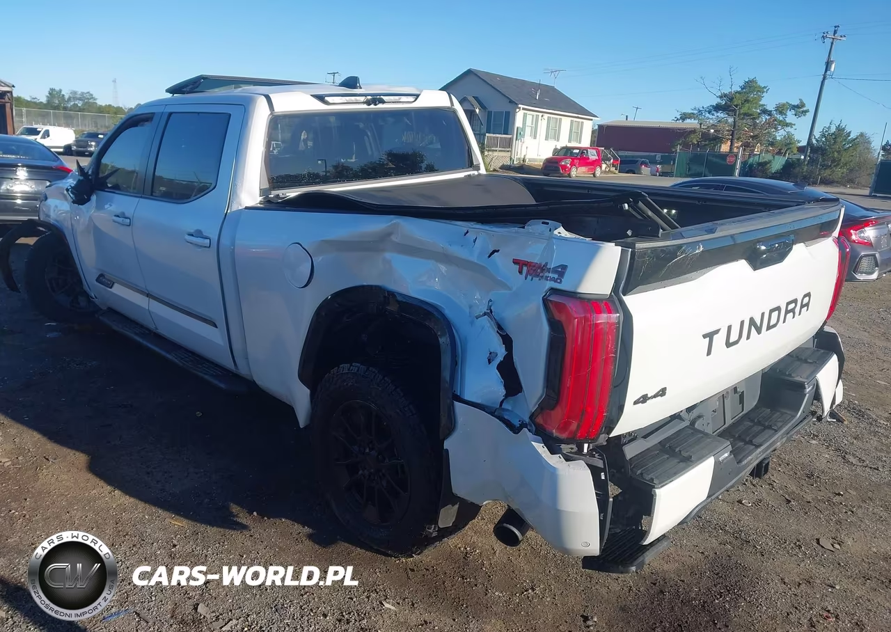 2024 Toyota Tundra Hybrid Platinum 4Wd VIN:5TFWC5EC4RX005093 - 3