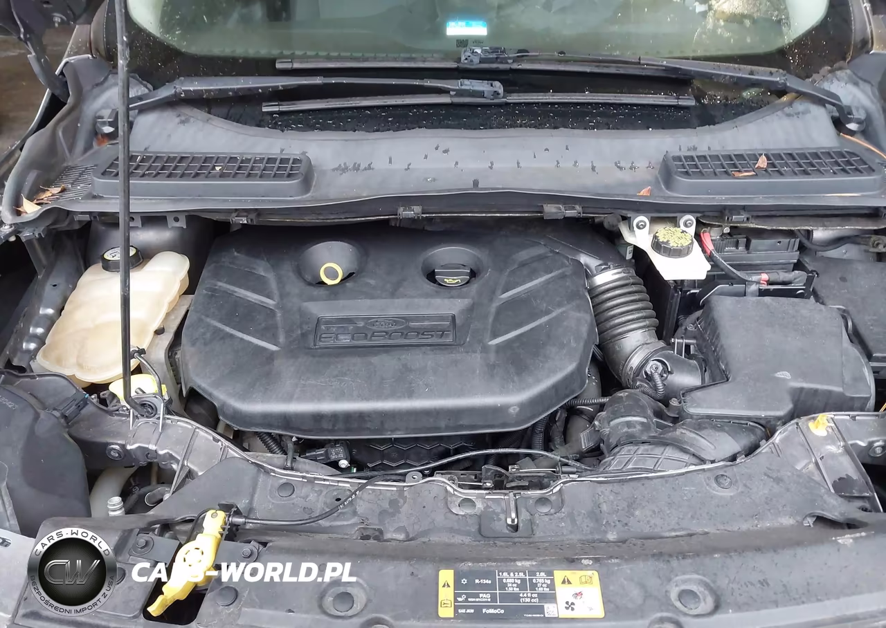 2014 Ford Escape Se VIN:1FMCU9G97EUA46446 - 10