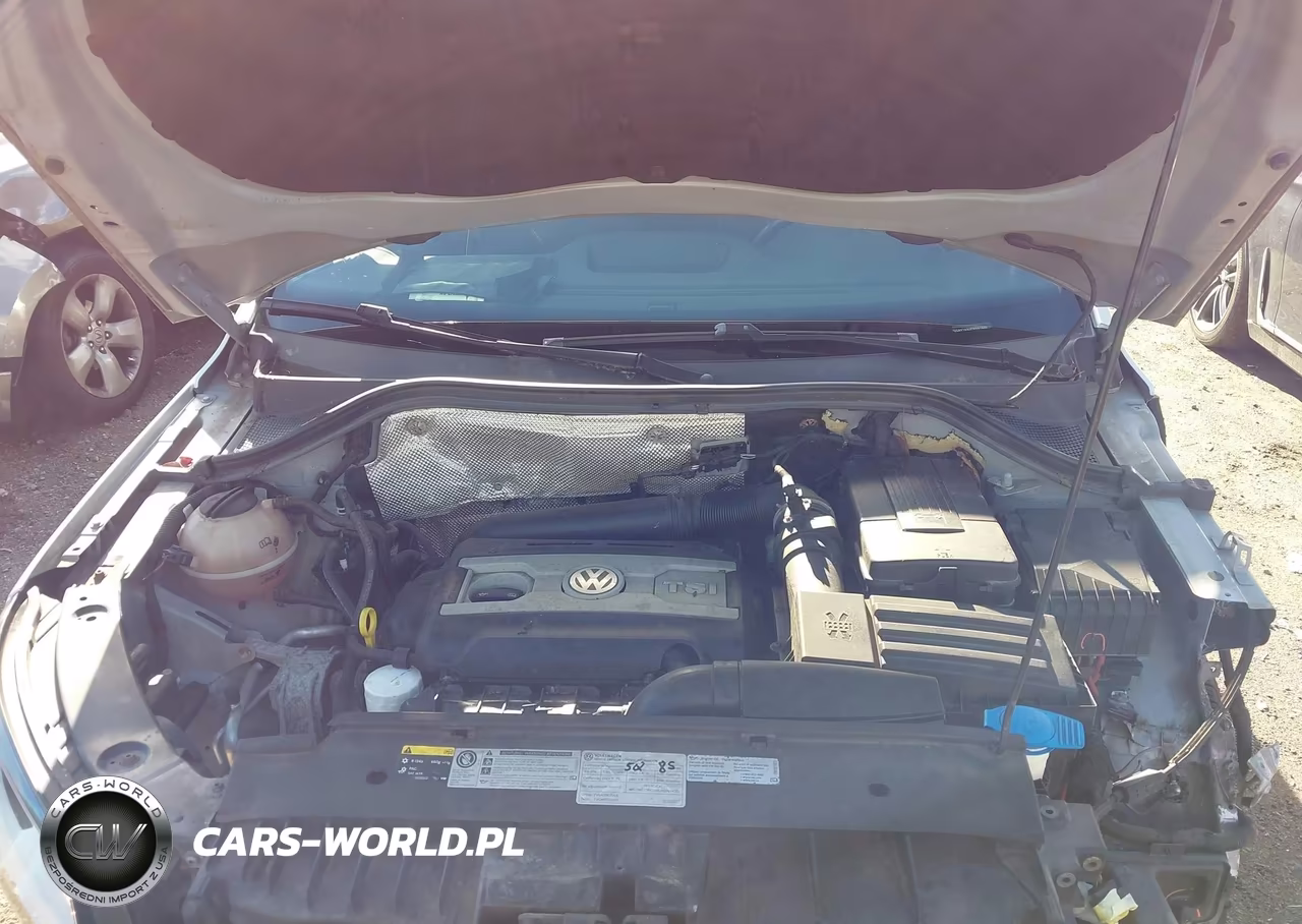 2015 Volkswagen Tiguan S VIN:WVGAV7AX0FW501885 - 10