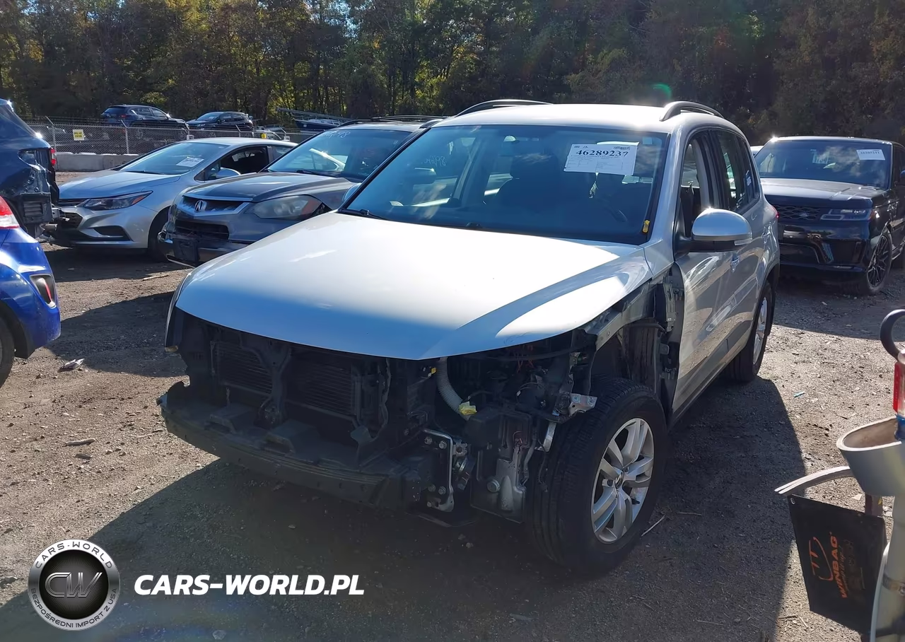 2015 Volkswagen Tiguan S VIN:WVGAV7AX0FW501885 - 2