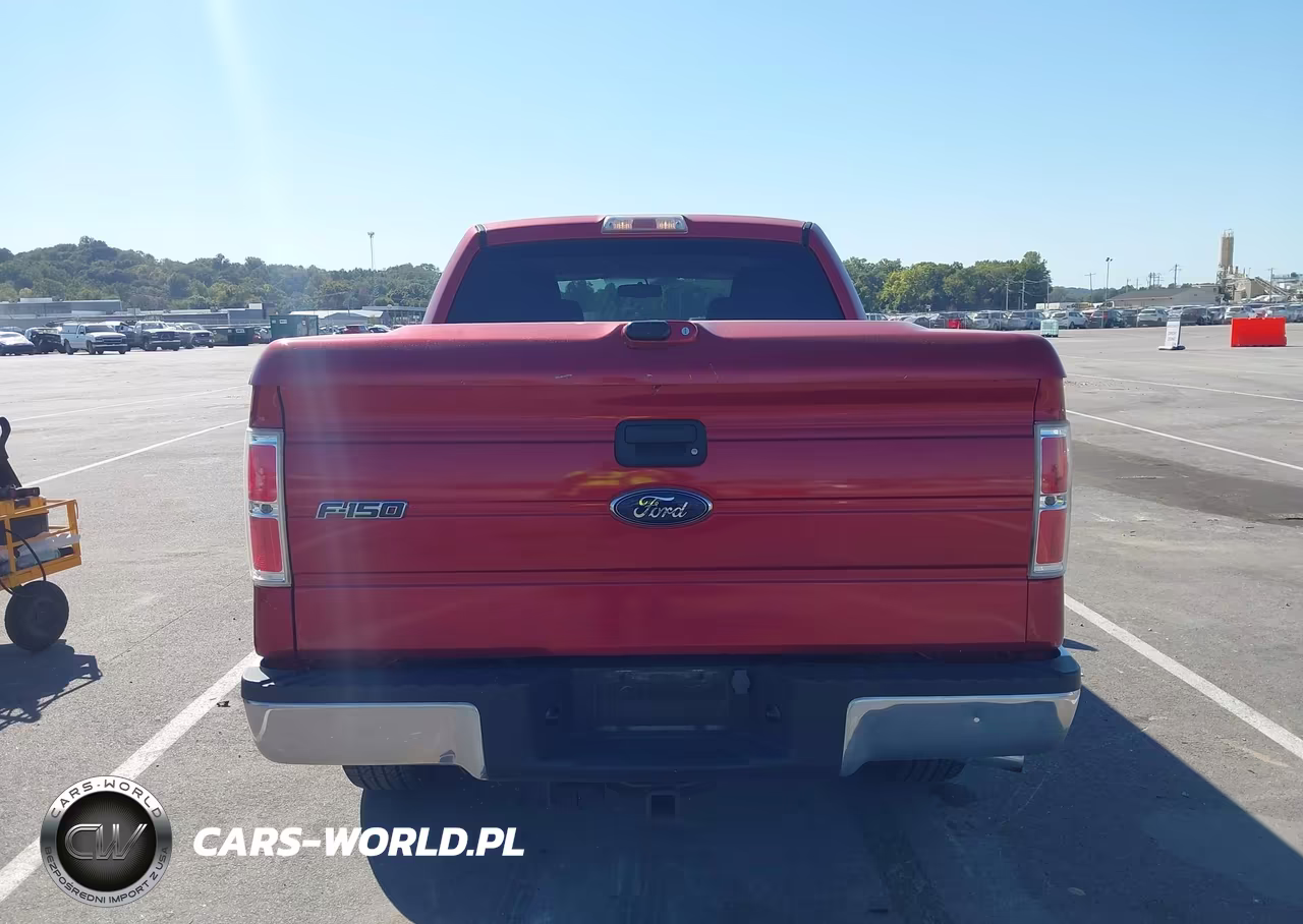 2010 Ford F-150 Xlt VIN:1FTEW1E8XAFC51101 - 15