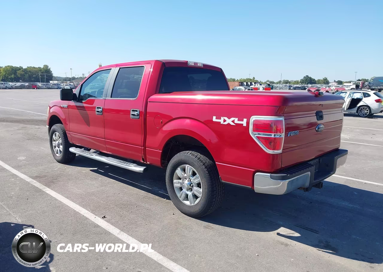 2010 Ford F-150 Xlt VIN:1FTEW1E8XAFC51101 - 3
