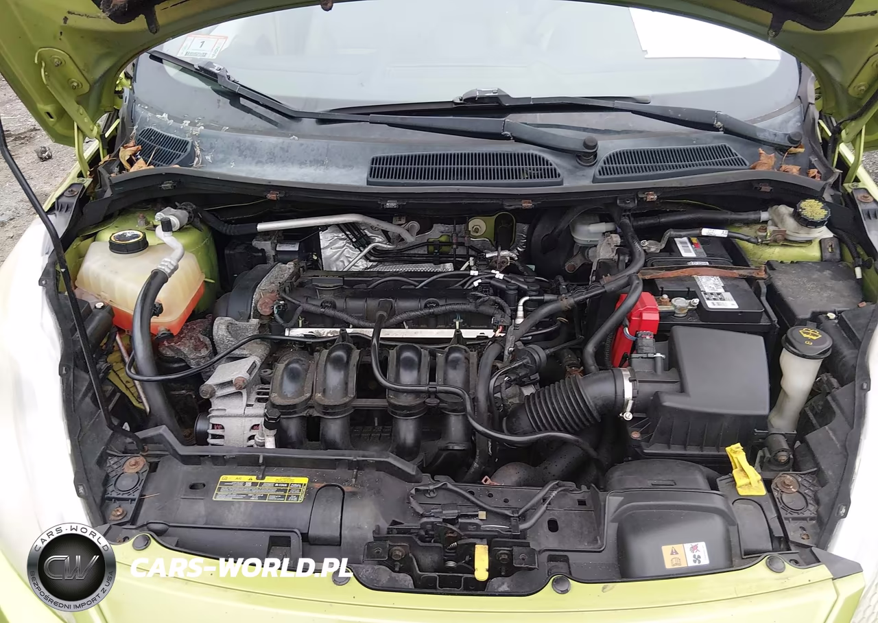 2011 Ford Fiesta Se VIN:3FADP4EJ4BM103496 - 10