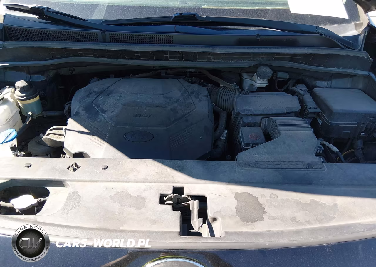 2019 Kia Sedona Lx VIN:KNDMB5C1XK6526049 - 10