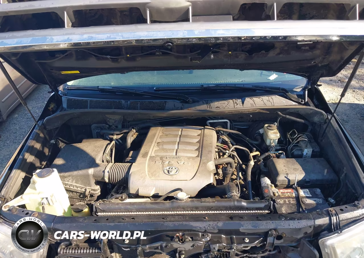2008 Toyota Sequoia Limited 5.7L V8 VIN:5TDBY68A68S000319 - 10