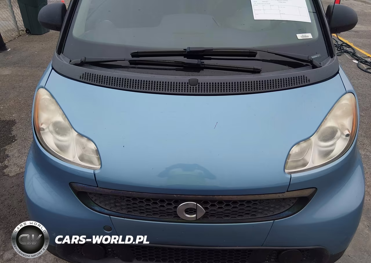2014 Smart Fortwo Passion VIN:WMEEJ3BA1EK745668 - 10