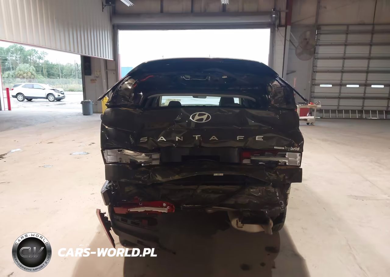 2025 Hyundai Santa Fe Hybrid Sel VIN:5NMP2DG18SH048203 - 17