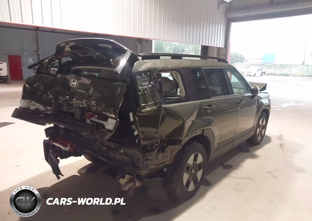 2025 Hyundai Santa Fe Hybrid Sel VIN:5NMP2DG18SH048203 - 4